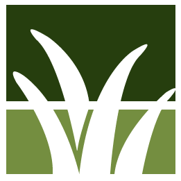San Bernardino Lawn Clean Up