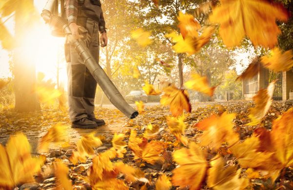 Leaf Blowing Service in San Bernardino