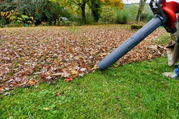 Leaf Vacuuming Service in San Bernardino