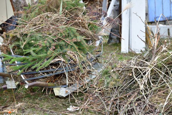 Yard Waste Removal Service in San Bernardino