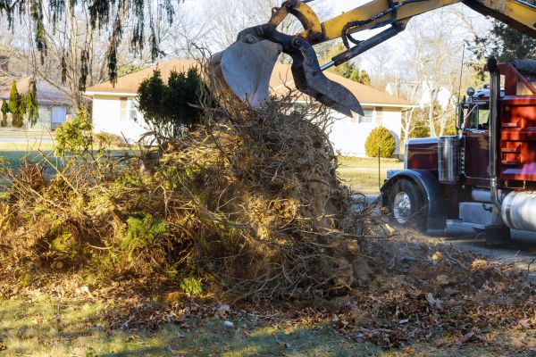 Storm Debris Removal in San Bernardino
