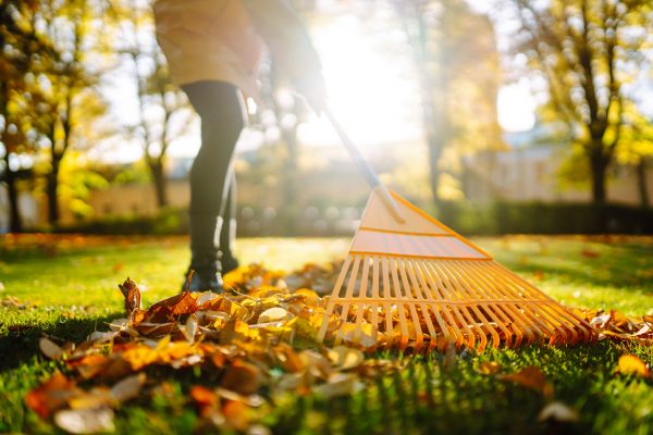 Leaves Raking in San Bernardino