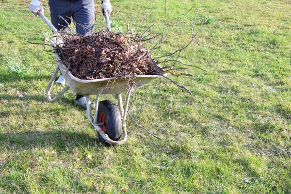 Yard Brush Removal in San Bernardino