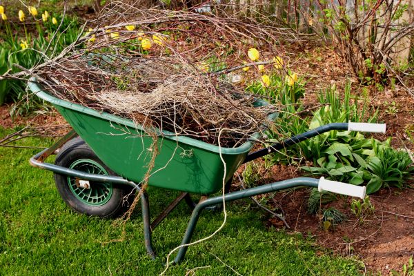 Lawn Waste Removal in San Bernardino