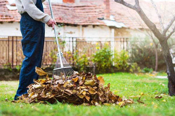 Fall Yard Cleanup Service in San Bernardino