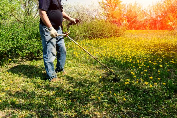 Cost of Yard Clearing Service in San Bernardino