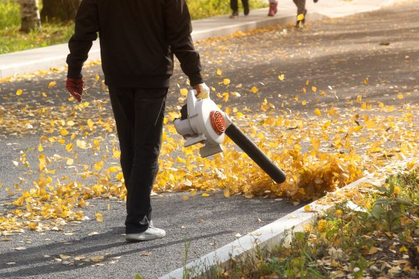 Commercial Leaf Removal in San Bernardino