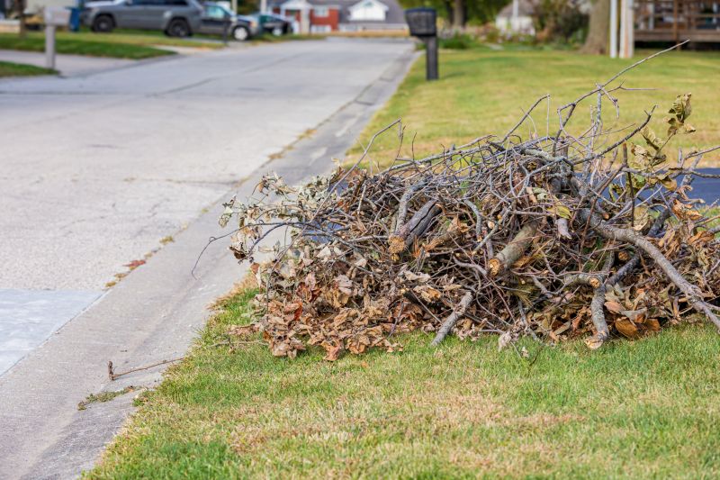 Commercial Leaf Removal