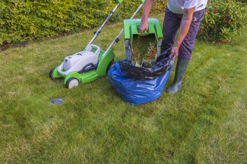 Spring Lawn Preparation